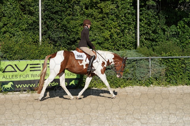 sA9K05929.JPG